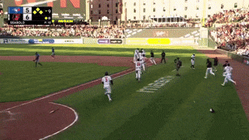 Orioles GIF