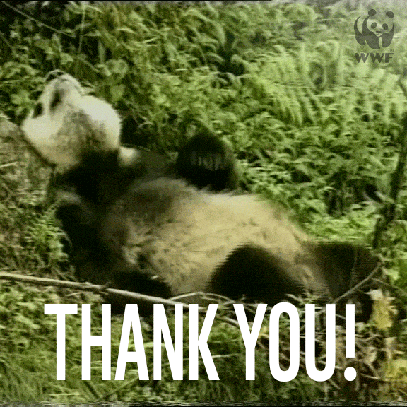 Wwf Uk Thank You GIF Find & Share on GIPHY