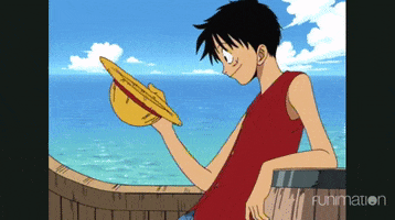 one piece hat GIF by Funimation