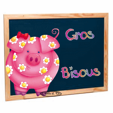 gif gros bisous chat