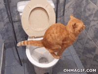 Animated-poop GIFs - Get the best GIF on GIPHY
