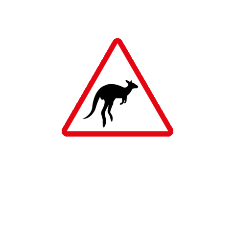 Logo Kangaroo Sticker by ruralfilmfestival