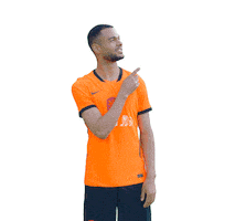 Ing Sticker by INGNederland