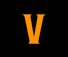 Vesta GIF by Vestacalcio