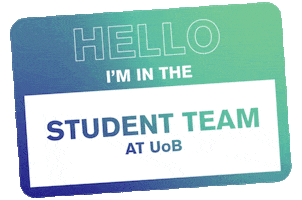 Student Ambassador GIF by University of Birmingham