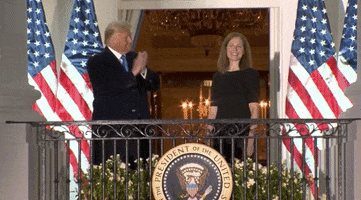 Swearing In Donald Trump GIF by GIPHY News