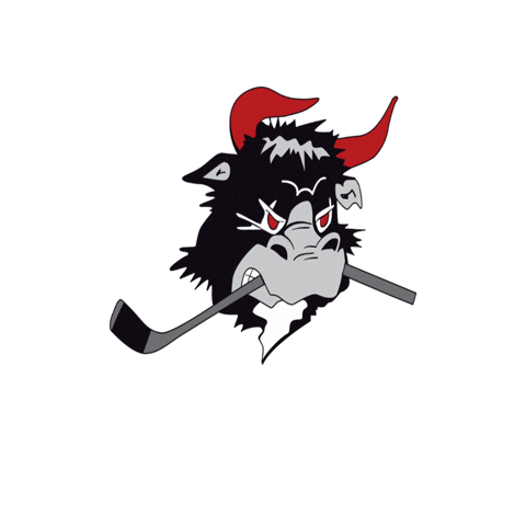 rodovremightybulls Sticker