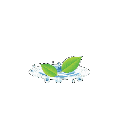 Borora Sticker