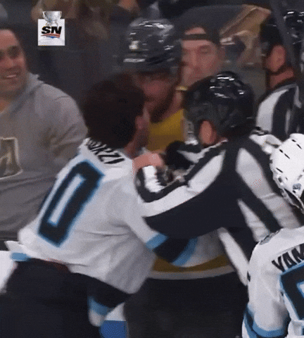 Golden Knights Nhl GIF