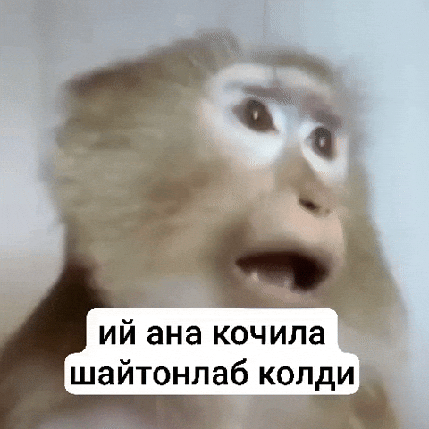 Shocked Monkey GIF