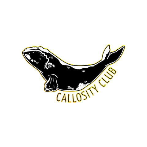 Save the North Pacific Right Whale Sticker