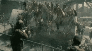 Wwz GIF