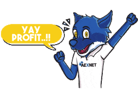 Aex Net Indonesia Sticker