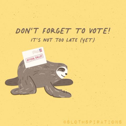 Voting 2020 Election GIF by Slothspirations