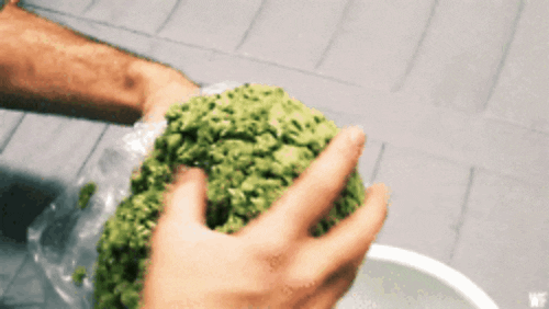 Weed GIF - Find & Share on GIPHY