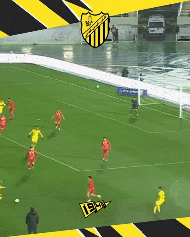Sport Goal GIF by Maghreb Association Sportive de Fès - MAS FOOTBALL