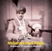 Kashmir Rajput GIF