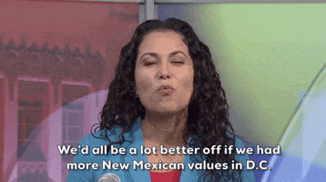 Xochitl Torres Small GIF by Election 2020