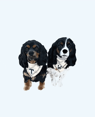 Small Business Spaniel GIF by Honey Boo Designs