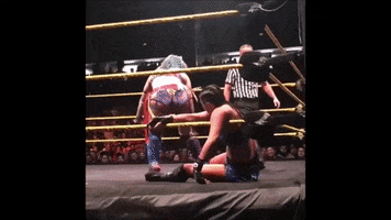 Wwe GIF