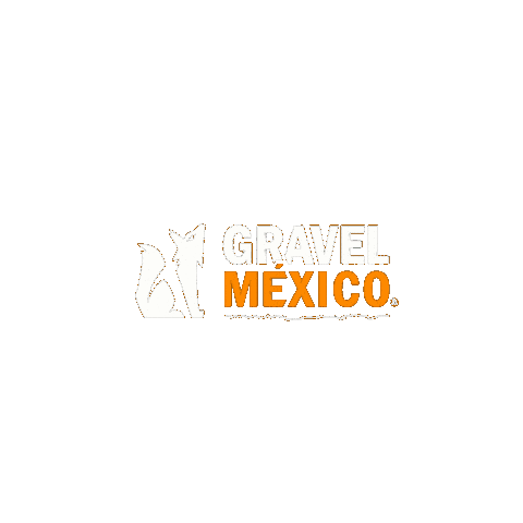 Sticker by Gravel México
