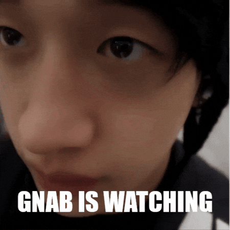 Stray Kids GIF