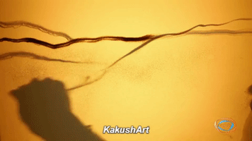 kakusha good morning GIF