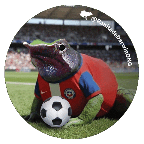 Alexis Sanchez Seleccion Chilena Sticker by Ranita de Darwin ONG