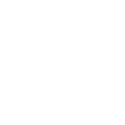 Cat Sticker