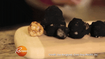 truffle dog GIF by Rachael Ray Show