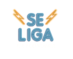 Economia Se Liga Sticker by Grupo Energisa