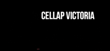 GIF by CELLAP VICTORIA