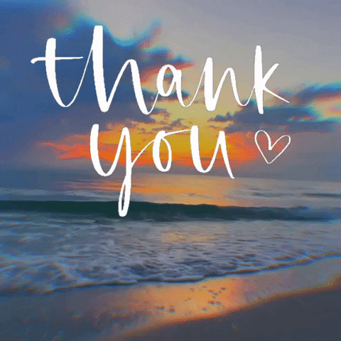 Summer Thank You GIF by Yevbel