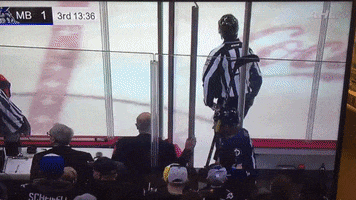 Dotchin Letsgogulls GIF