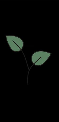 Health Plant GIF by Van der Plas sprouts