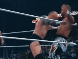 Aew GIF