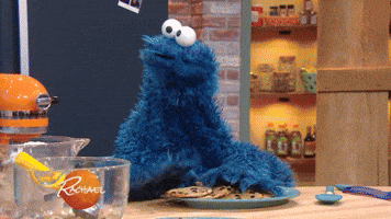 Destroy Sesame Street GIF by Rachael Ray Show