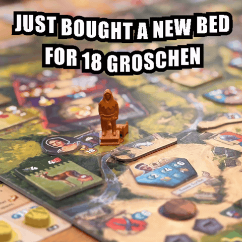 Boardgame Kingdomcome GIF by CGE