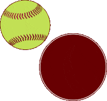 Northern Virginia Girls Softball Sticker by NVGSA Softball