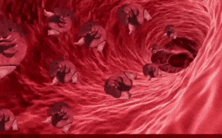 Blood Solana GIF