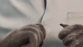 Shirt Getting Ready GIF by Compare the Market