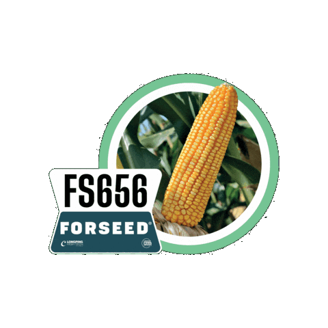 Forseedsementes Sticker by Longping High Tech