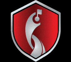 FootgolfSport GIF