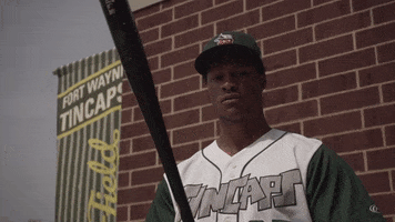 Baseball Intimidating GIF by Fort Wayne TinCaps