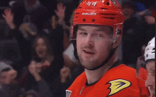 Ducks Ross GIF