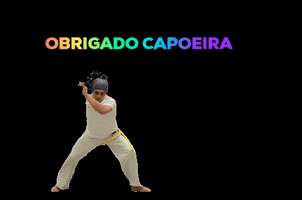 Capoeira GIF by capoeiraluebeckmli
