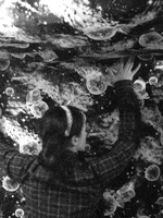 200.gif?cid=fc005b08ab9f183a0de54abcb402735e0d51bc755286043b&rid=200.gif&ct=g