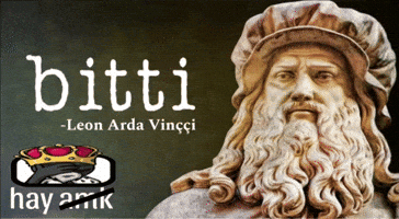 Leonardo Da Vinci Hay Amk GIF