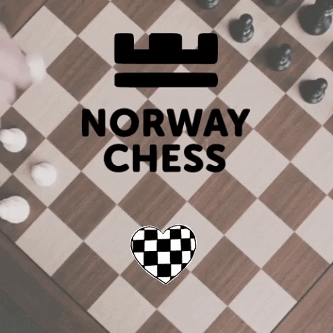 Sjakk Rogaland GIF by Norway Chess