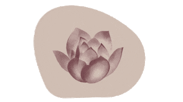 Coach Lotus Sticker by Ktnknwn